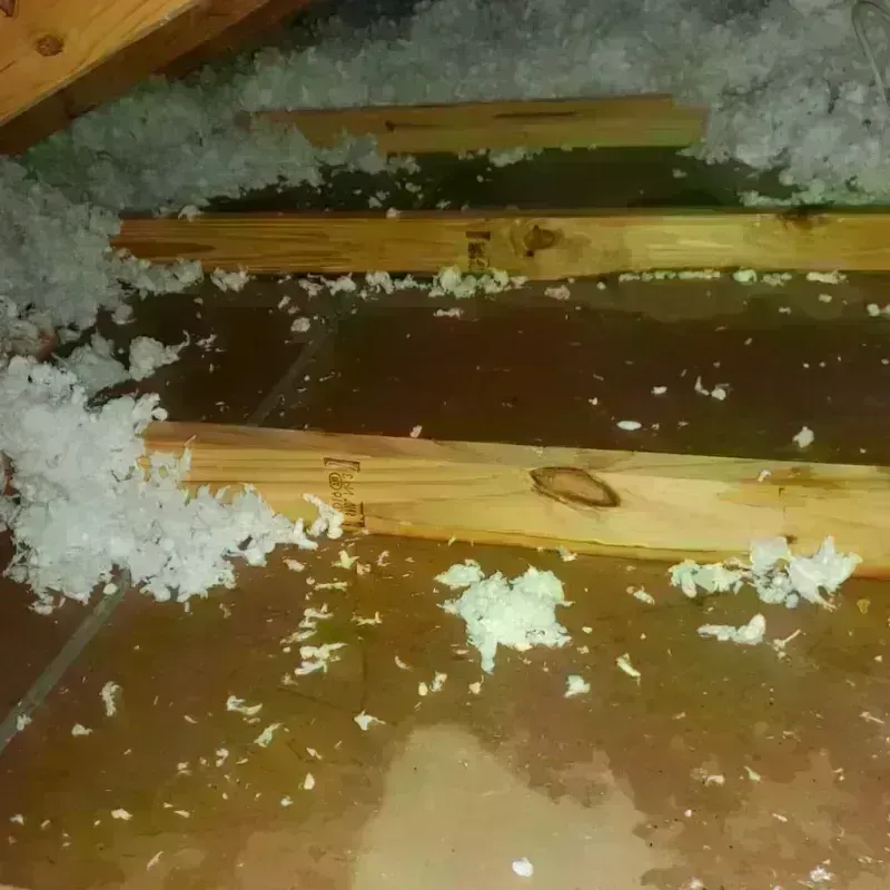 Best Attic Water Damage Service in Cave City, AR