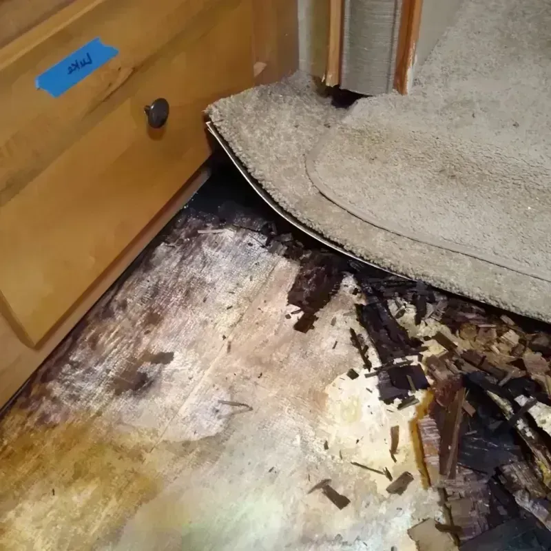 Best Wood Floor Water Damage Service in Cave City, AR